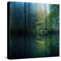 The Forest-Adelino Gon?alves-Stretched Canvas