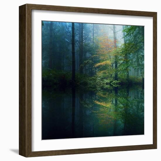 The Forest-Adelino Gon?alves-Framed Photographic Print