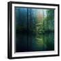 The Forest-Adelino Gon?alves-Framed Photographic Print