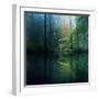 The Forest-Adelino Gon?alves-Framed Photographic Print