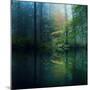The Forest-Adelino Gon?alves-Mounted Photographic Print