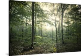 The Forest-Philippe Manguin-Stretched Canvas