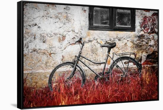 The Forgotten Bike-Philippe Sainte-Laudy-Framed Stretched Canvas