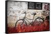 The Forgotten Bike-Philippe Sainte-Laudy-Framed Stretched Canvas