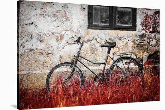 The Forgotten Bike-Philippe Sainte-Laudy-Stretched Canvas