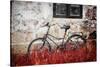 The Forgotten Bike-Philippe Sainte-Laudy-Stretched Canvas