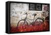 The Forgotten Bike-Philippe Sainte-Laudy-Framed Stretched Canvas