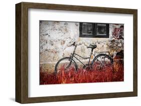 The Forgotten Bike-Philippe Sainte-Laudy-Framed Photographic Print