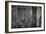 The Forgotten Door-Doug Chinnery-Framed Photographic Print