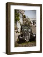 The forgotten-Valda Bailey-Framed Photographic Print