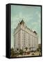 The Fort Garry, Grand Trunk Pacific Railway's New Hotel, Winnipeg, Manitoba, Canada-null-Framed Stretched Canvas