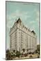 The Fort Garry, Grand Trunk Pacific Railway's New Hotel, Winnipeg, Manitoba, Canada-null-Mounted Photographic Print