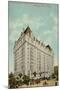 The Fort Garry, Grand Trunk Pacific Railway's New Hotel, Winnipeg, Manitoba, Canada-null-Mounted Photographic Print