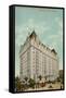 The Fort Garry, Grand Trunk Pacific Railway's New Hotel, Winnipeg, Manitoba, Canada-null-Framed Stretched Canvas