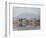 The Fort Looks over Dal Lake at Srinagar, Kashmir, India-Julian Love-Framed Photographic Print