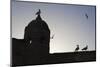 The Fort Silhouetted with Seagulls, Essaouira, Atlantic Coast, Morocco, North Africa, Africa-Stuart Black-Mounted Photographic Print