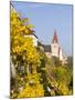 The Fortified Church Mariae Himmelfahrt in the Medieval Town of Weissenkirchen in the Wachau-Martin Zwick-Mounted Photographic Print