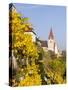 The Fortified Church Mariae Himmelfahrt in the Medieval Town of Weissenkirchen in the Wachau-Martin Zwick-Stretched Canvas