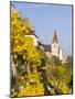 The Fortified Church Mariae Himmelfahrt in the Medieval Town of Weissenkirchen in the Wachau-Martin Zwick-Mounted Photographic Print