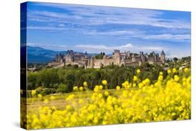 The Fortified City of Carcassonne, Languedoc-Roussillon, France-Nadia Isakova-Stretched Canvas