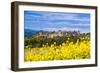 The Fortified City of Carcassonne, Languedoc-Roussillon, France-Nadia Isakova-Framed Photographic Print