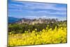 The Fortified City of Carcassonne, Languedoc-Roussillon, France-Nadia Isakova-Mounted Photographic Print