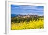 The Fortified City of Carcassonne, Languedoc-Roussillon, France-Nadia Isakova-Framed Photographic Print