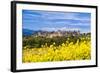 The Fortified City of Carcassonne, Languedoc-Roussillon, France-Nadia Isakova-Framed Photographic Print