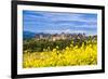 The Fortified City of Carcassonne, Languedoc-Roussillon, France-Nadia Isakova-Framed Photographic Print