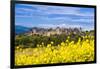 The Fortified City of Carcassonne, Languedoc-Roussillon, France-Nadia Isakova-Framed Photographic Print