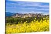 The Fortified City of Carcassonne, Languedoc-Roussillon, France-Nadia Isakova-Stretched Canvas
