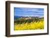 The Fortified City of Carcassonne, Languedoc-Roussillon, France-Nadia Isakova-Framed Photographic Print