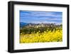 The Fortified City of Carcassonne, Languedoc-Roussillon, France-Nadia Isakova-Framed Photographic Print