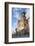 The Fortress Synagogue, Timisoara, Banat, Romania, Europe-Ian Trower-Framed Photographic Print