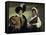 The Fortune Teller-Caravaggio-Framed Stretched Canvas