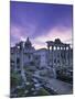 The Forum, Rome, Italy-Walter Bibikow-Mounted Photographic Print