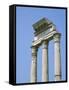 The Forum, Rome, Lazio, Italy-Roy Rainford-Framed Stretched Canvas