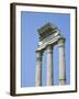 The Forum, Rome, Lazio, Italy-Roy Rainford-Framed Photographic Print