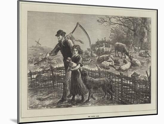 The Foster Lamb-Ebenezer Newman Downard-Mounted Giclee Print
