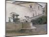 The Fountain, Italy-Carl Holsoe-Mounted Giclee Print