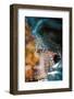 The Fountain-Ursula Abresch-Framed Photographic Print