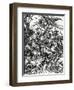 The Four Horsemen of the Apocalypse, 1498 (Woodcut)-Albrecht Dürer-Framed Giclee Print