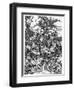 The Four Horsemen of the Apocalypse-Albrecht Dürer-Framed Premium Photographic Print