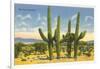 The Four Horsemen, Saguaro Cacti-null-Framed Art Print
