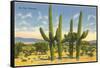 The Four Horsemen, Saguaro Cacti-null-Framed Stretched Canvas