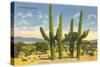 The Four Horsemen, Saguaro Cacti-null-Stretched Canvas