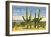 The Four Horsemen, Saguaro Cacti-null-Framed Art Print