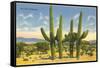 The Four Horsemen, Saguaro Cacti-null-Framed Stretched Canvas