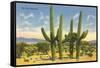 The Four Horsemen, Saguaro Cacti-null-Framed Stretched Canvas