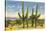 The Four Horsemen, Saguaro Cacti-null-Stretched Canvas